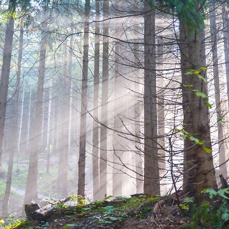 Landgasthof Falken Huttlingen Екстер'єр фото