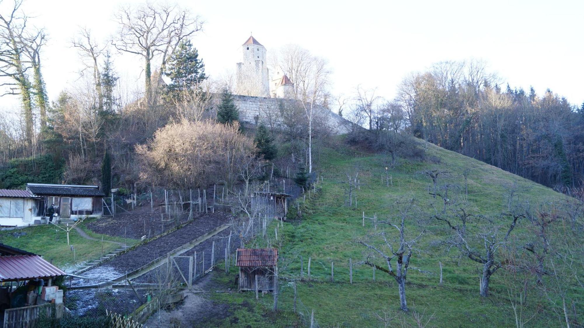 Landgasthof Falken Huttlingen Номер фото